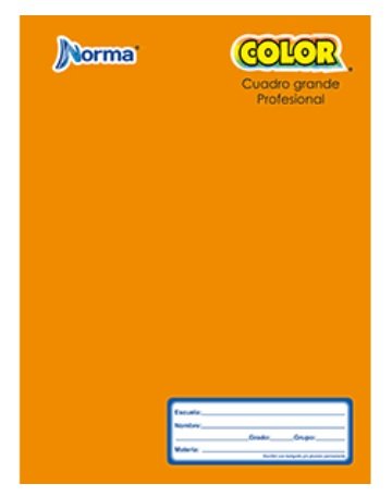 CUADERNO PROFESIONAL COSIDO NORMA CUADRO GRANDE 100 HOJAS