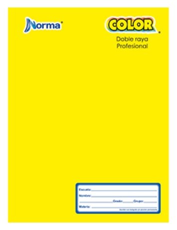CUADERNO PROFESIONAL COSIDO NORMA DE RAYA 100 H
