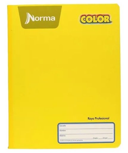 CUADERNO PROFESIONAL COSIDO NORMA RAYA 100 H
