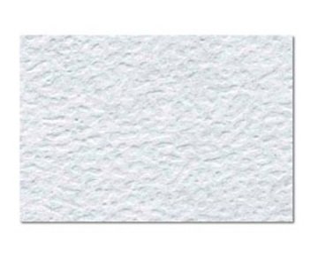 CASCARON JISS MITAD 56X70 CM