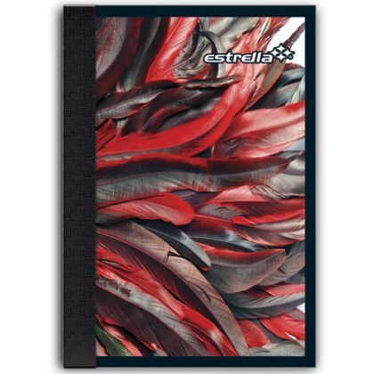 LIBRETA N.5 10.2X15.2 ESTRELLA RAYA 100 HOJAS