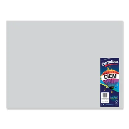CARTULINA IRIS DIEM 50X66 GRIS 11