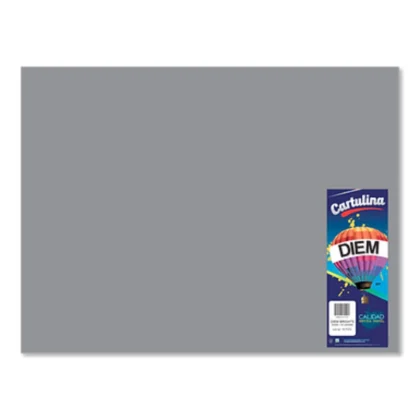 CARTULINA IRIS DIEM 50X66 GRIS INT 12